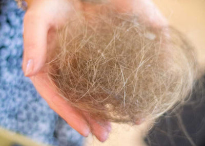 Shedding Hair with Hair Extension Removal - Should I Be Worried